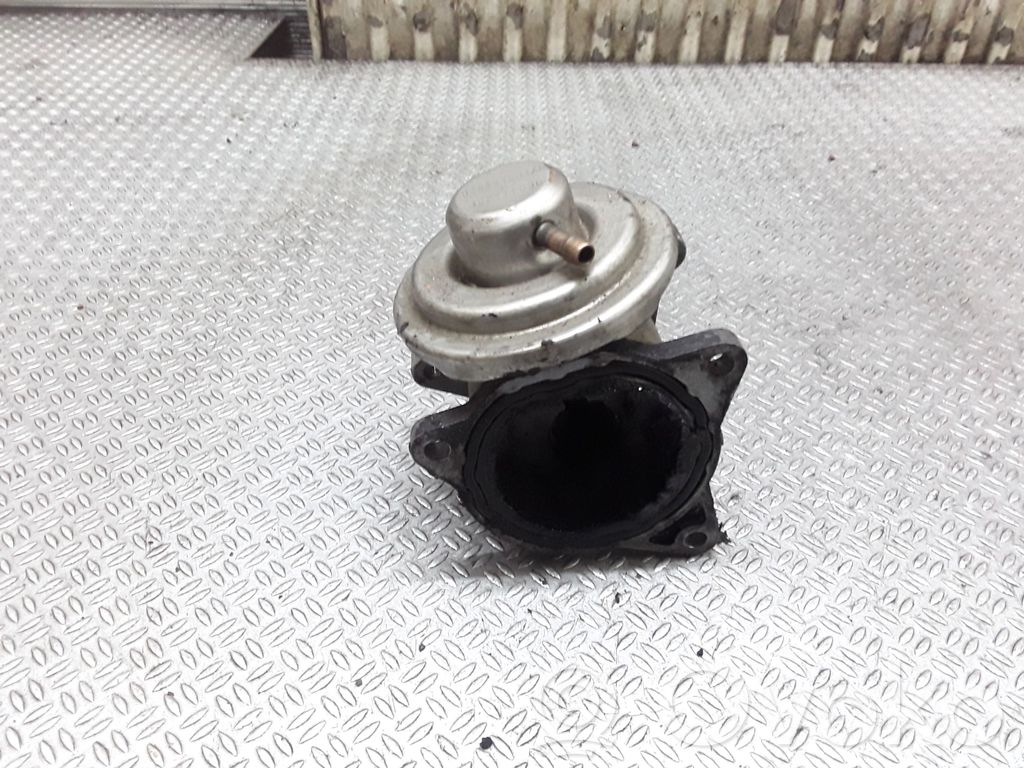 Seat Toledo III (5P) Supapă EGR