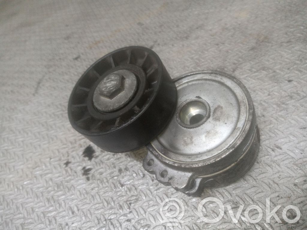 Întinzător curea alternator   APV1114,0402209