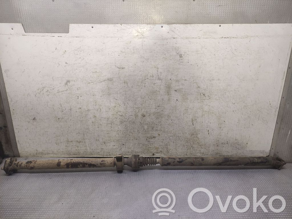 Drive shaft (set)
