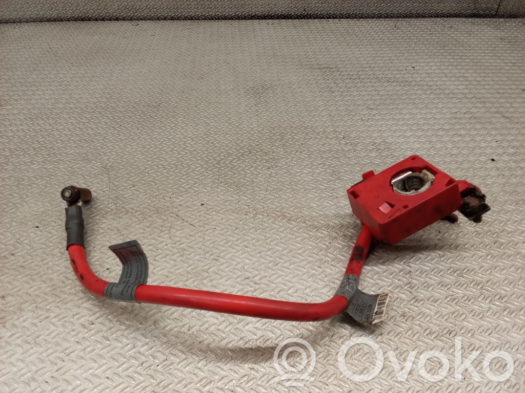 BMW 3 E90 E91 Pliusinis laidas (akumuliatoriaus) 