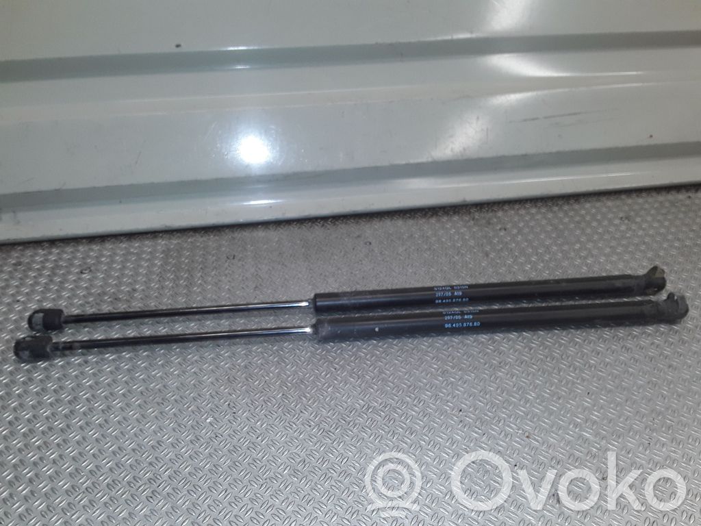 Peugeot 1007 Amortizor hayon