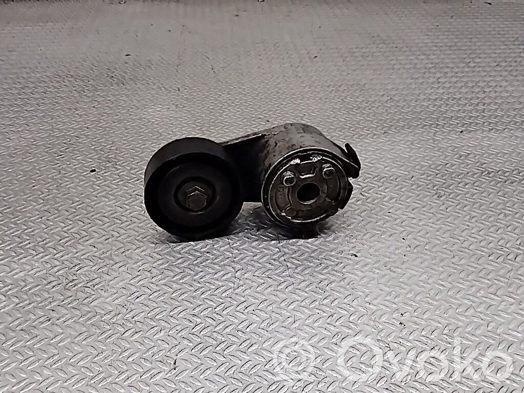 Ford S-MAX Napinacz paska alternatora 