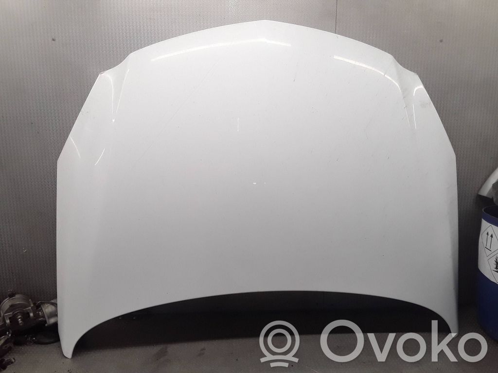 Engine bonnet/hood