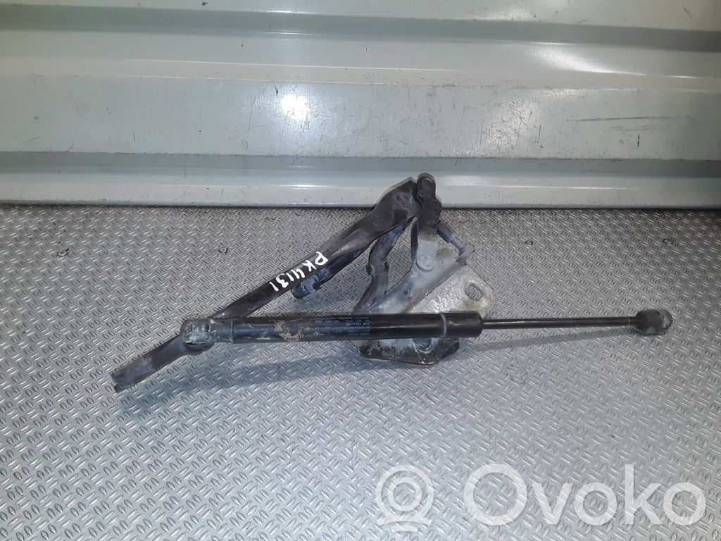 Audi A8 S8 D3 4E Dzinēja pārsega eņģe (-es) 