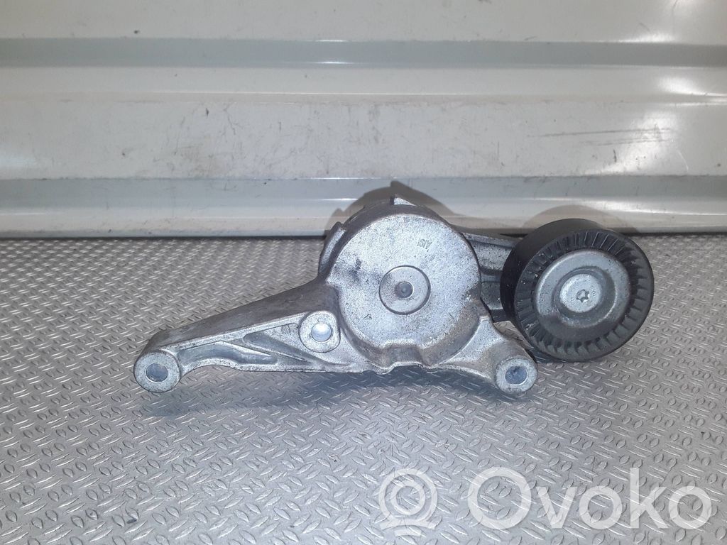 Volkswagen PASSAT B6 Tendicinghia generatore/alternatore 