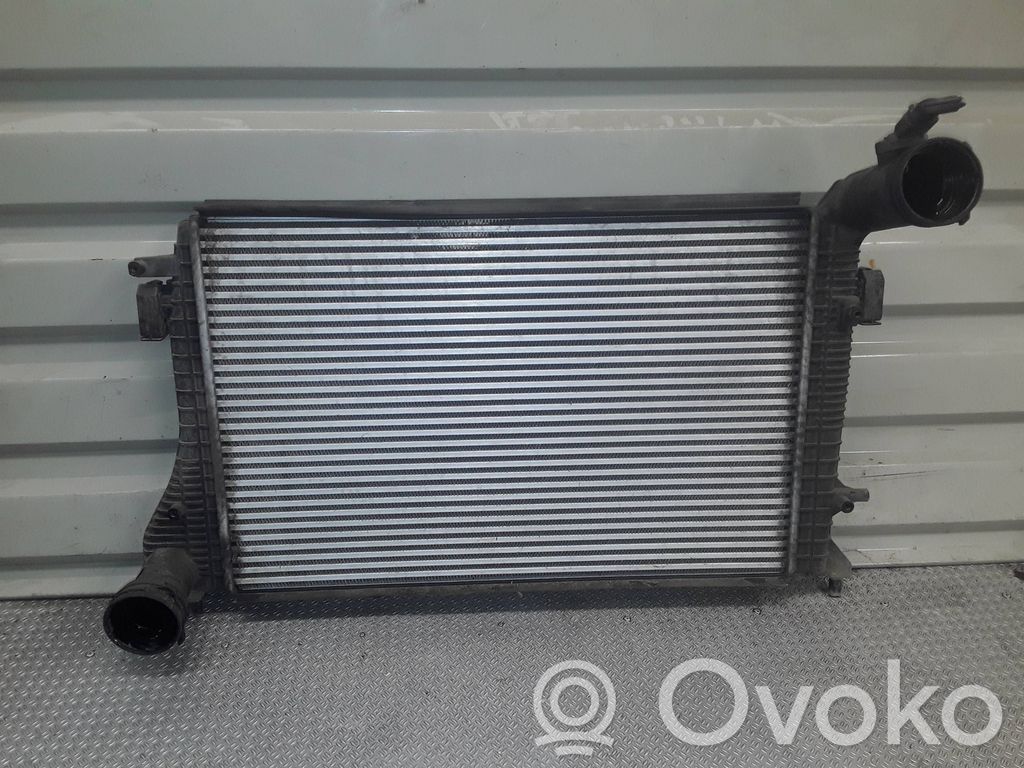 Volkswagen Golf Plus Radiatore intercooler 