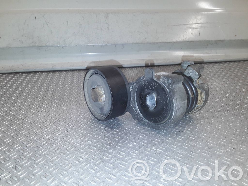 Volkswagen Polo IV 9N3 Întinzător curea generator/alternator