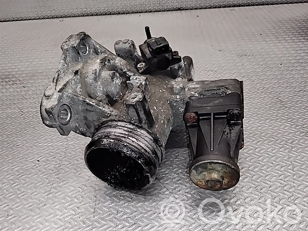 Válvula EGR   30774531
