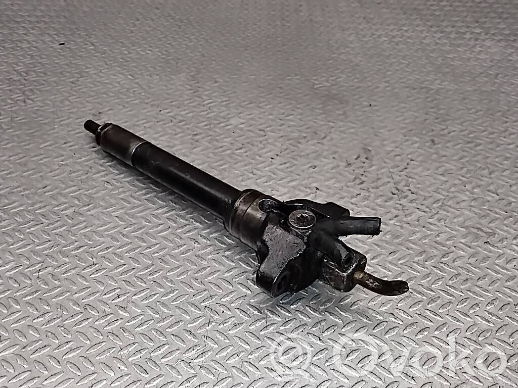 BMW 3 E46 Fuel injector 
