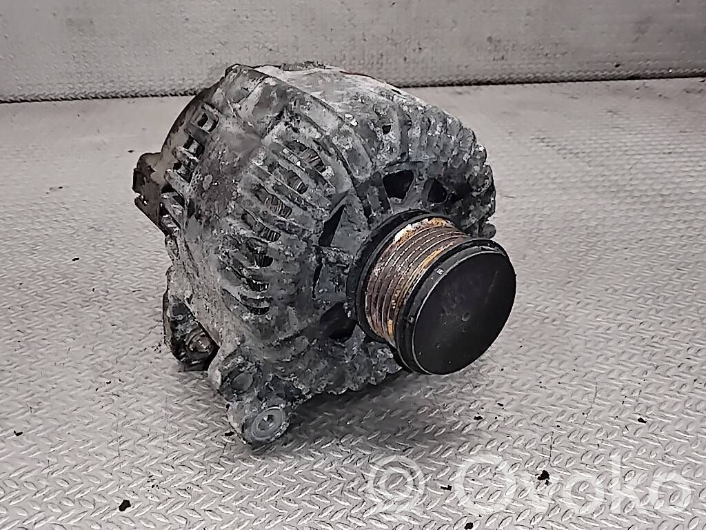 Generator/alternator   06F903023C,605105414,2542695D