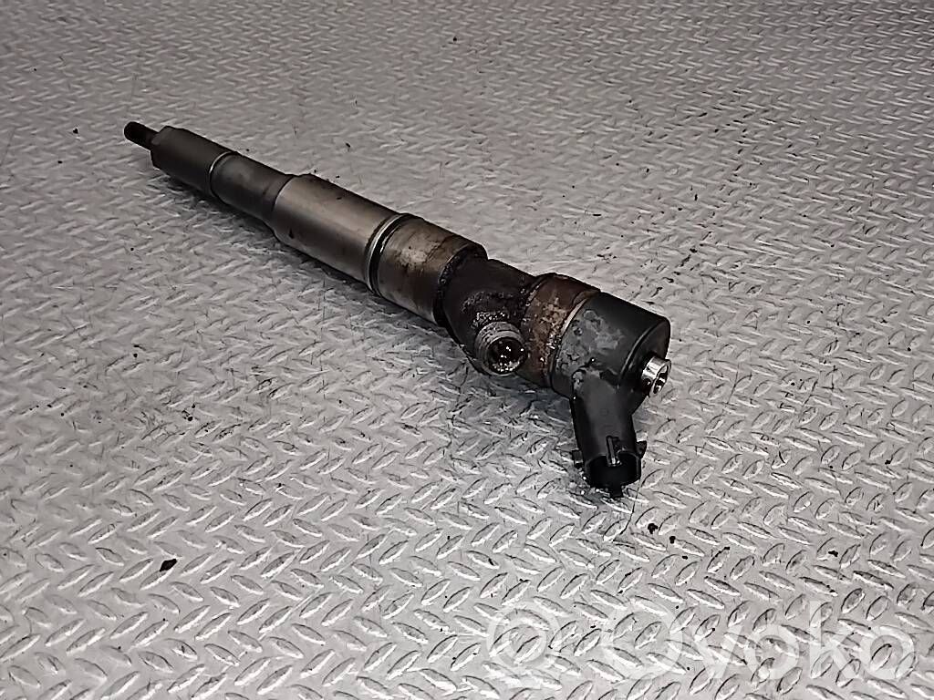 Injektor Einspritzdüse   0445110030,2354045