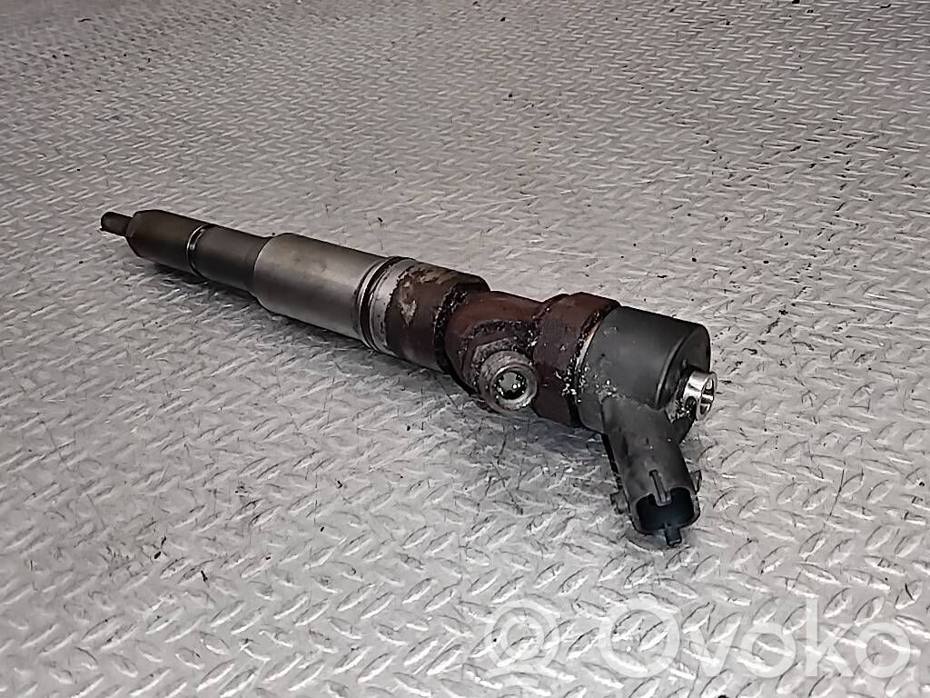 Injektor Einspritzdüse   0445110030,2354045