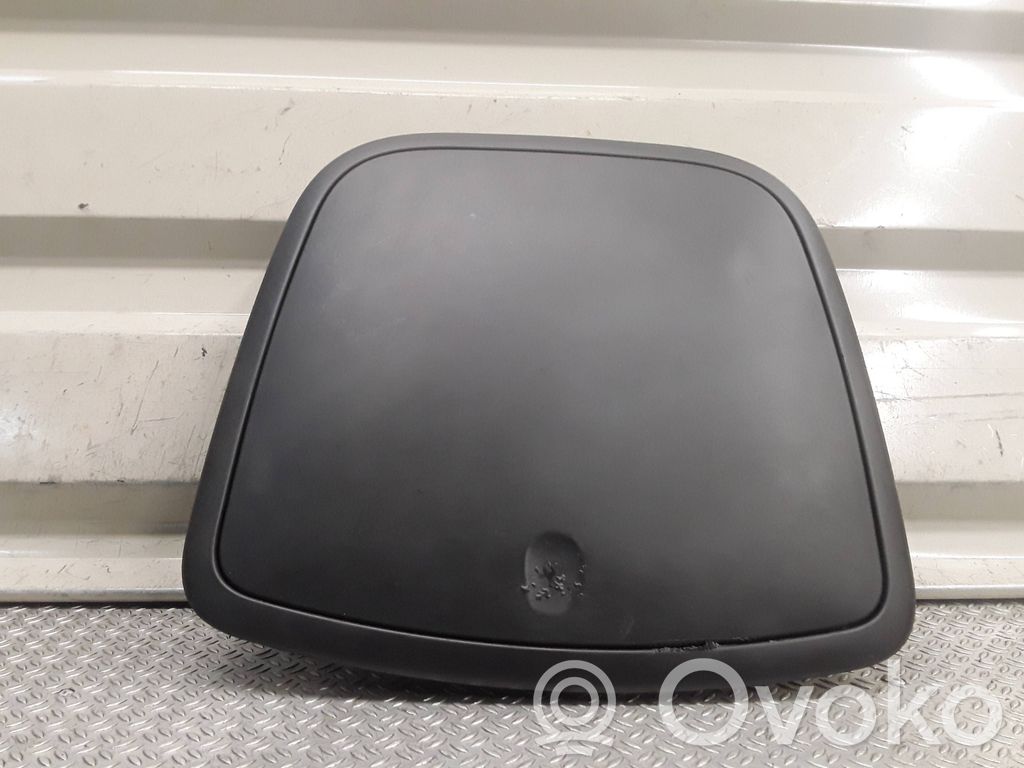 Citroen C3 Picasso Daiktadėžė 