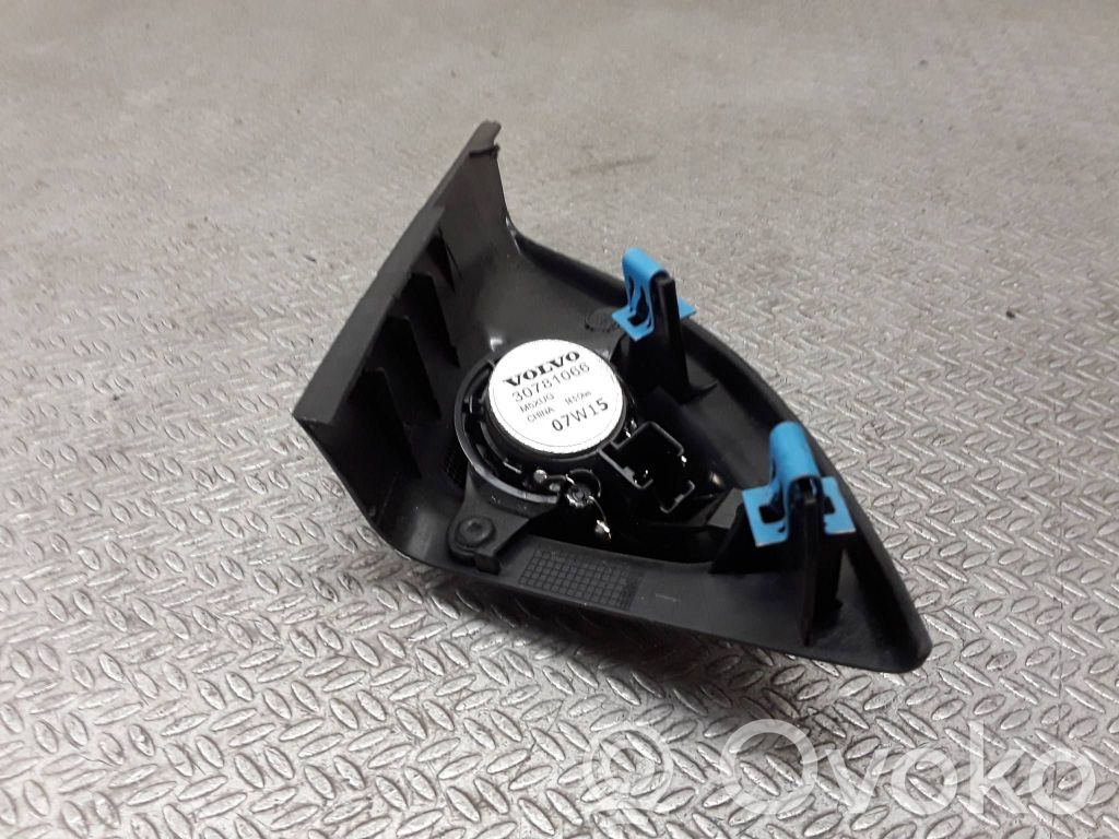 Front door high frequency speaker   30781066