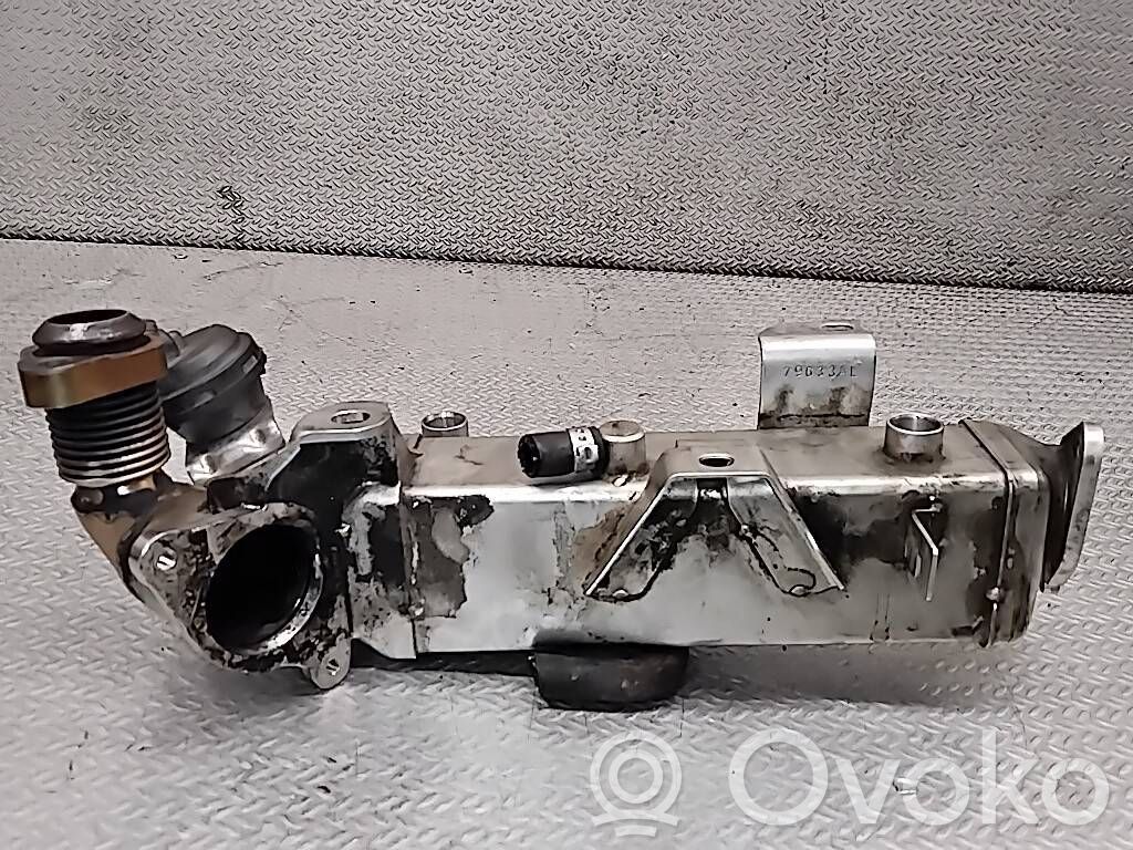 BMW 3 E90 E91 EGR dzesētājs 