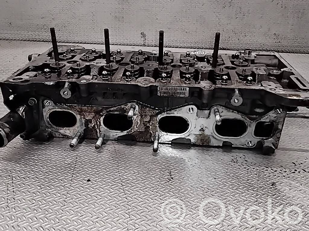 Engine head   55576915