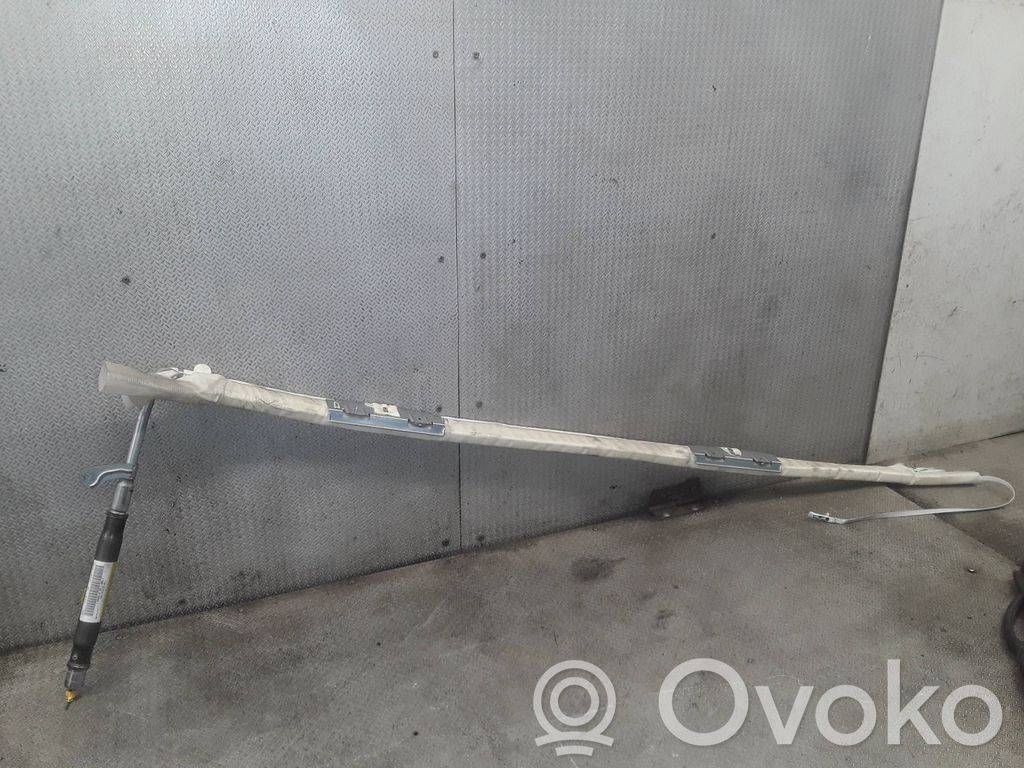 Ford C-MAX I Kattoturvatyyny 