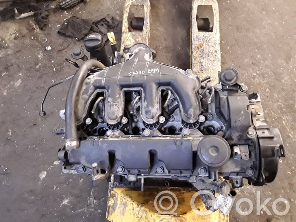 Motor   10DYUL,040933270,RHK