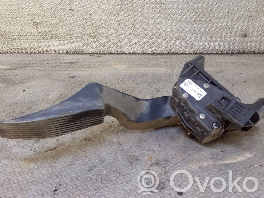 Pedale dell’acceleratore   9202341