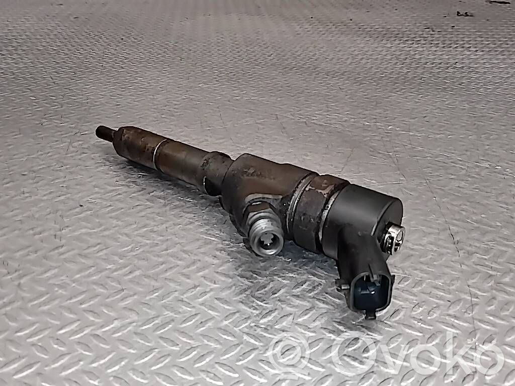 Peugeot 406 Injektor Einspritzdüse