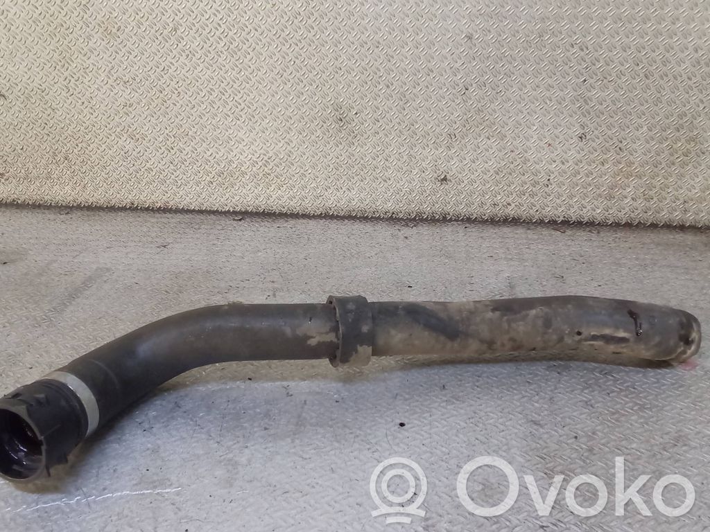 Audi A3 S3 8P Przewód / Wąż chłodnicy 