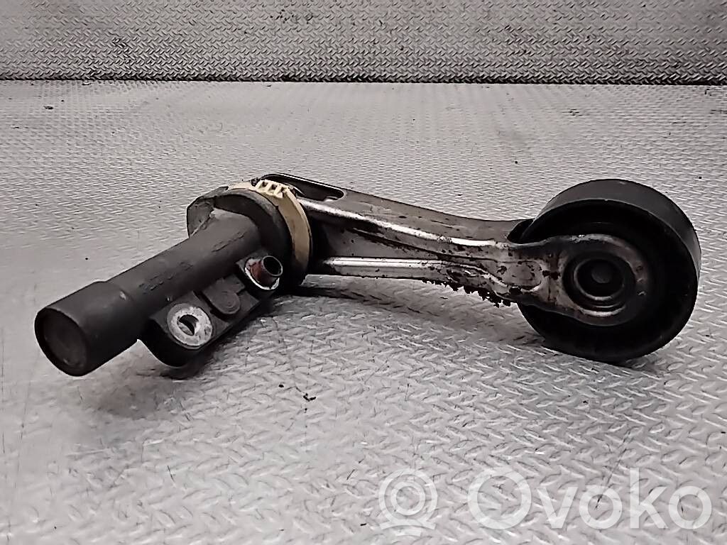 Peugeot 207 Napinacz paska alternatora