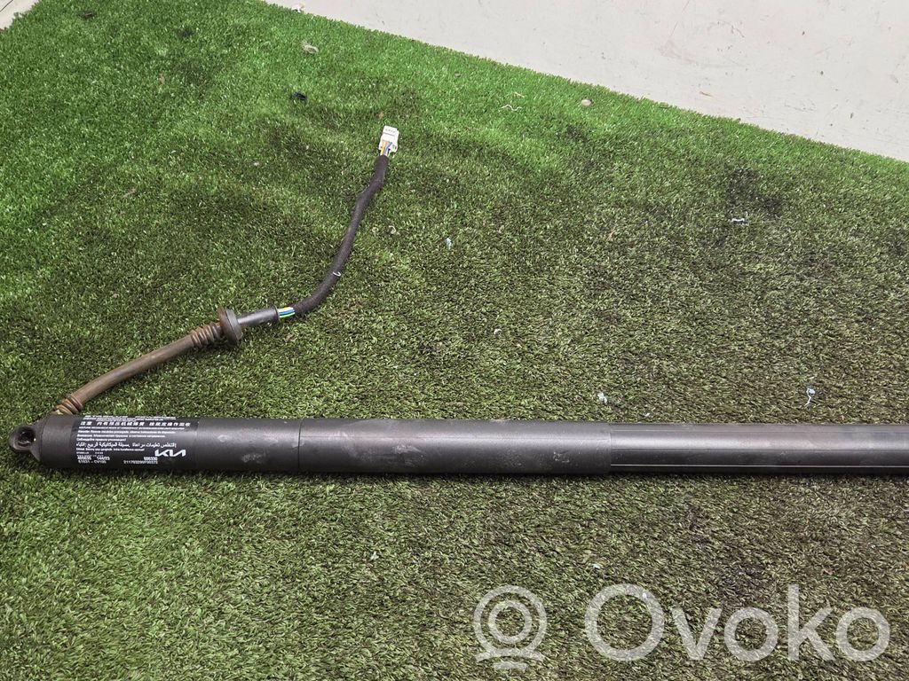 Tailgate/trunk strut/damper   81831CV100