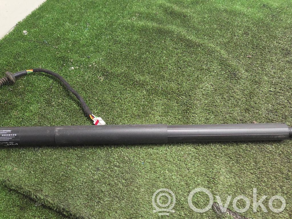 KIA EV6 Tailgate/trunk strut/damper 