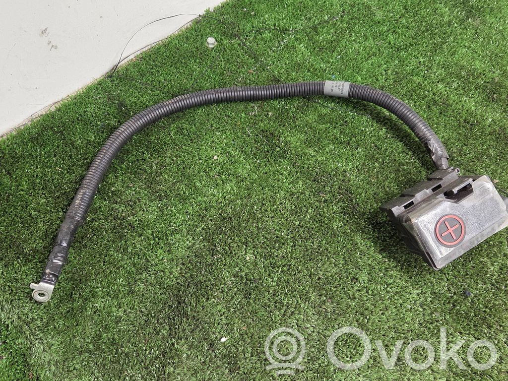 Plusa vads (akumulatora)   91850CV010