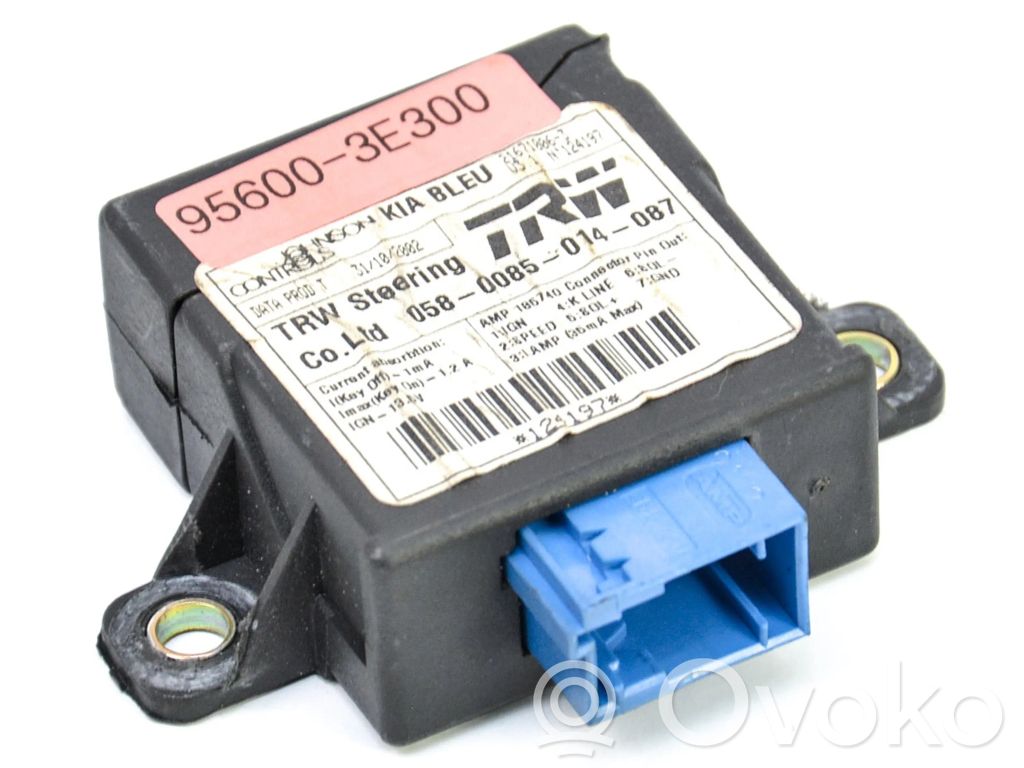 Unidad de control/módulo del ABS   956003E300,956003E300,216710063,216710063