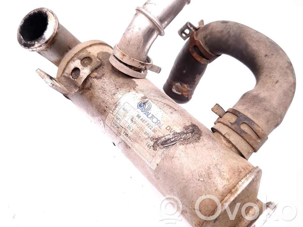 EGR aušintuvas   9646762280,VP1U3H9P445BA,79998D