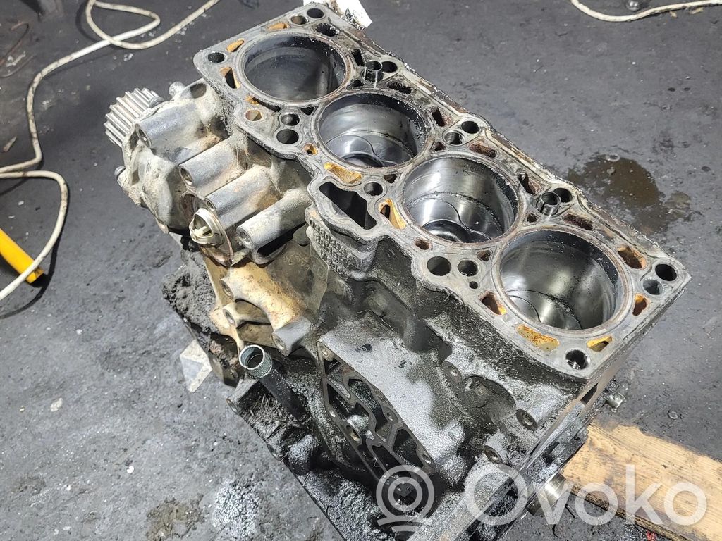 Volkswagen PASSAT B5.5 Blok silnika 