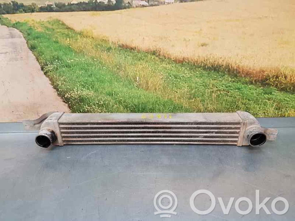 Opel Meriva A Chłodnica powietrza doładowującego / Intercooler 