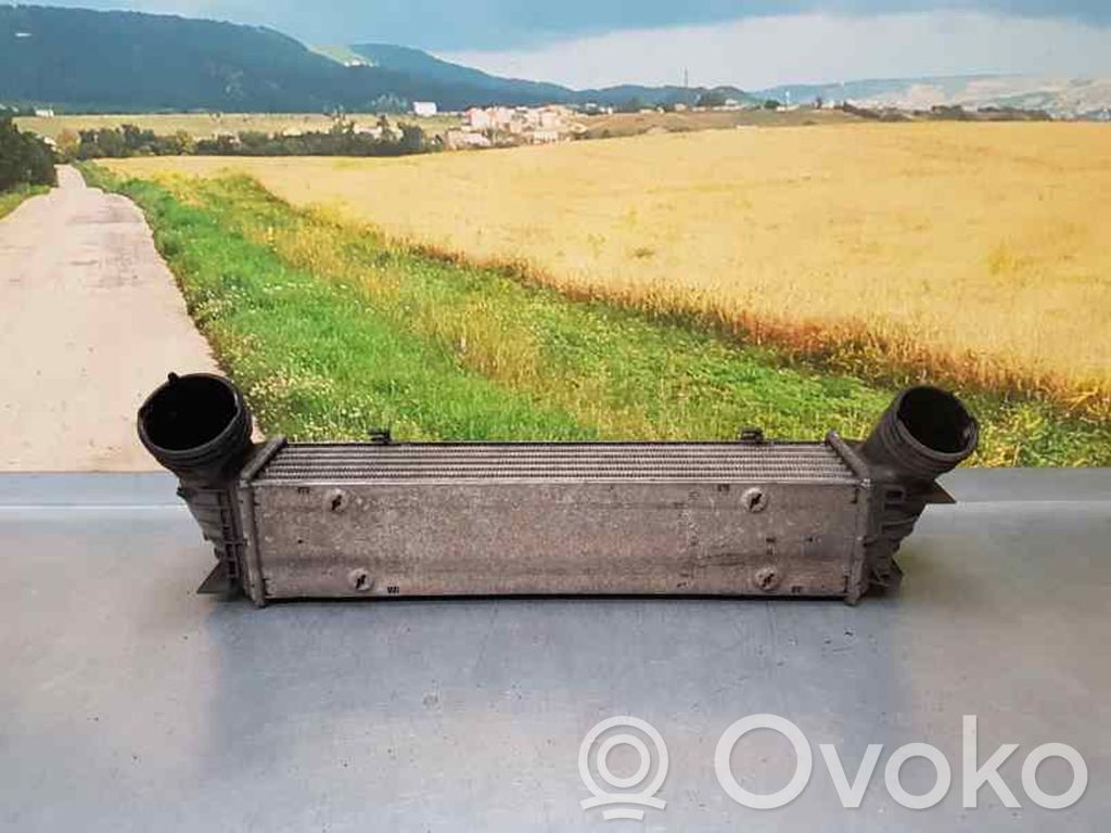 Intercooler radiator   779878802