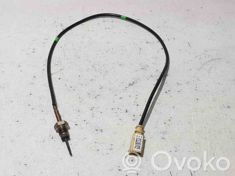 Kitas daviklis   8K0973802,SENSORTEMPERATURA,SENSORTEMPERATURA