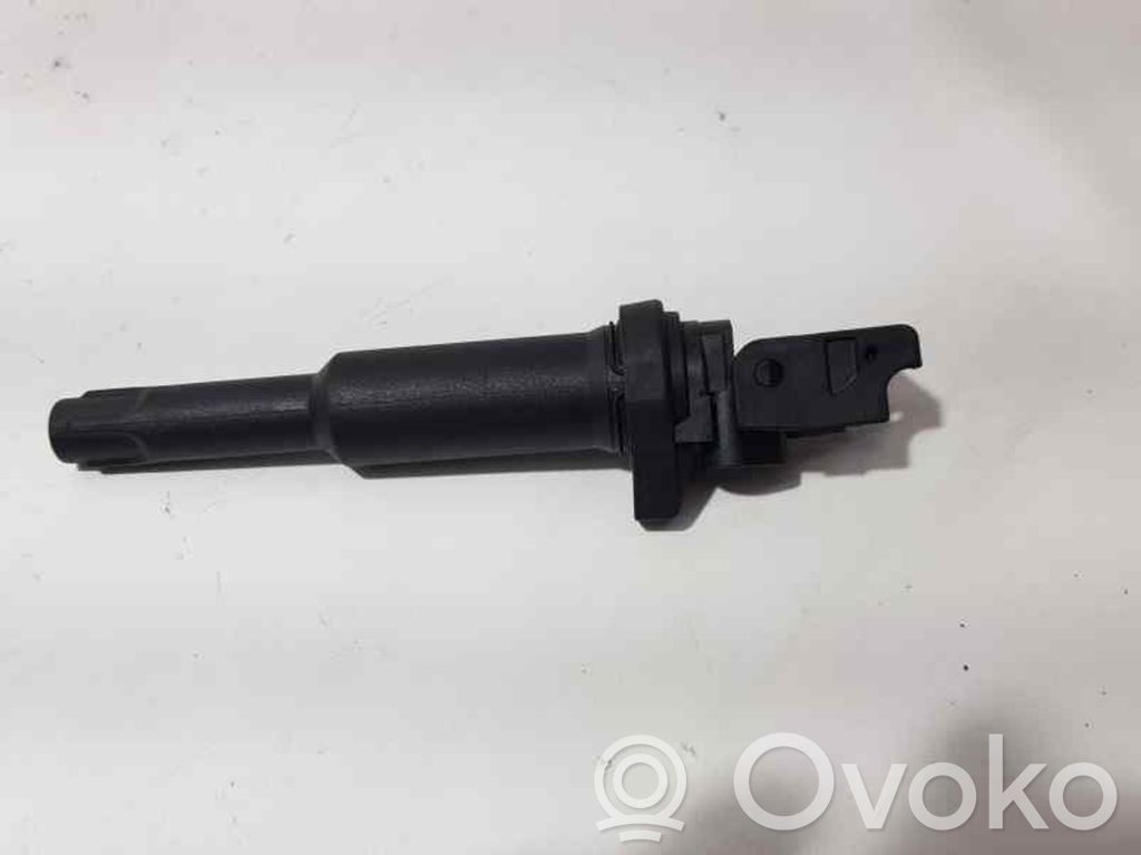 High voltage ignition coil   754855301,BOSC,BOSC