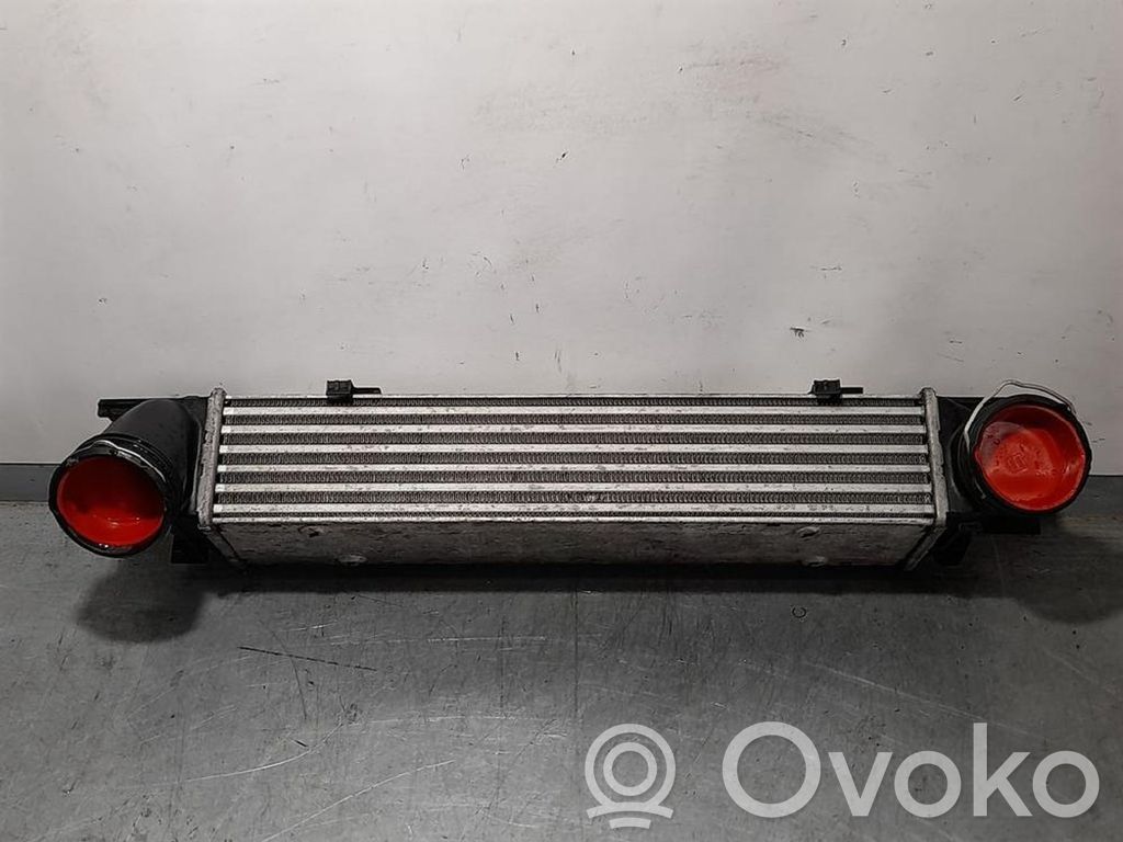 Intercooler radiator   778933307