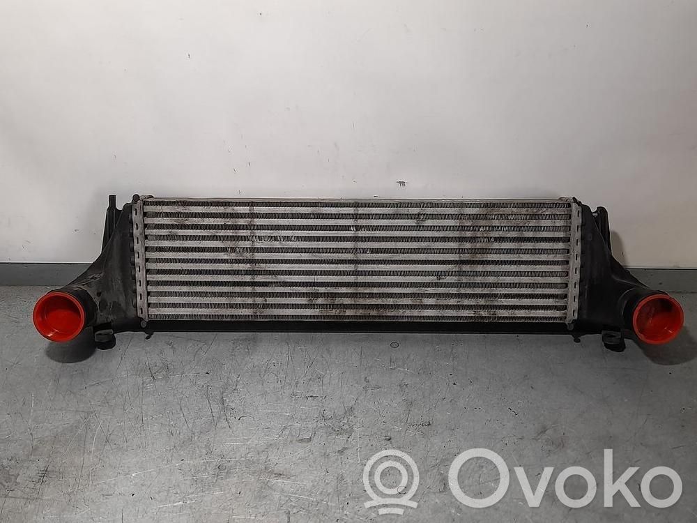 Intercooler radiator   224796602,PATAROTA,PATAROTA