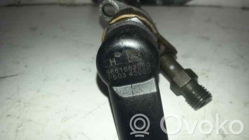 Polttoainesuutin   9661683980,SIEMENS