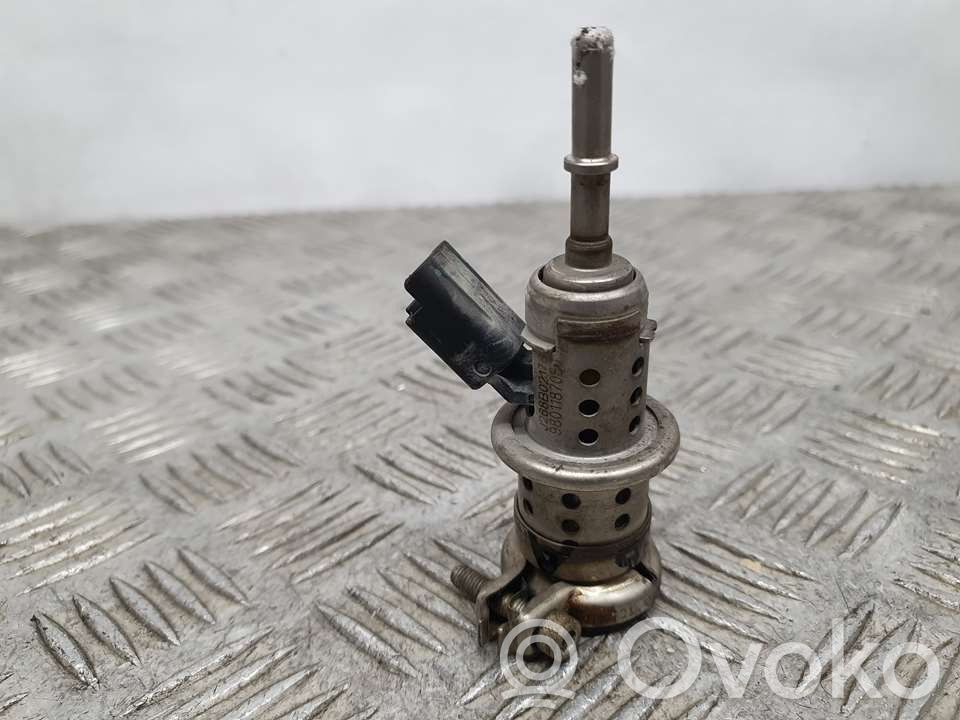 Inyector de combustible   9801187080