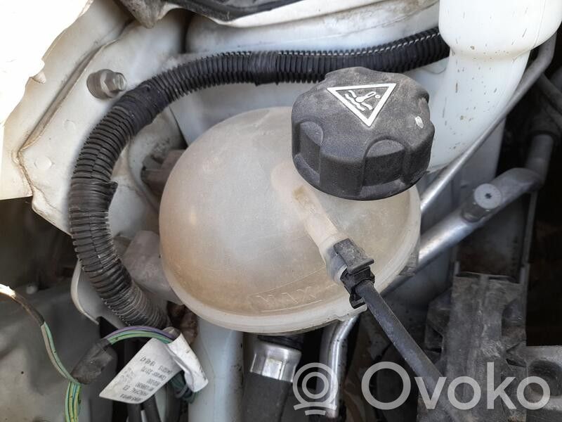 Depósito del refrigerante   9800777280