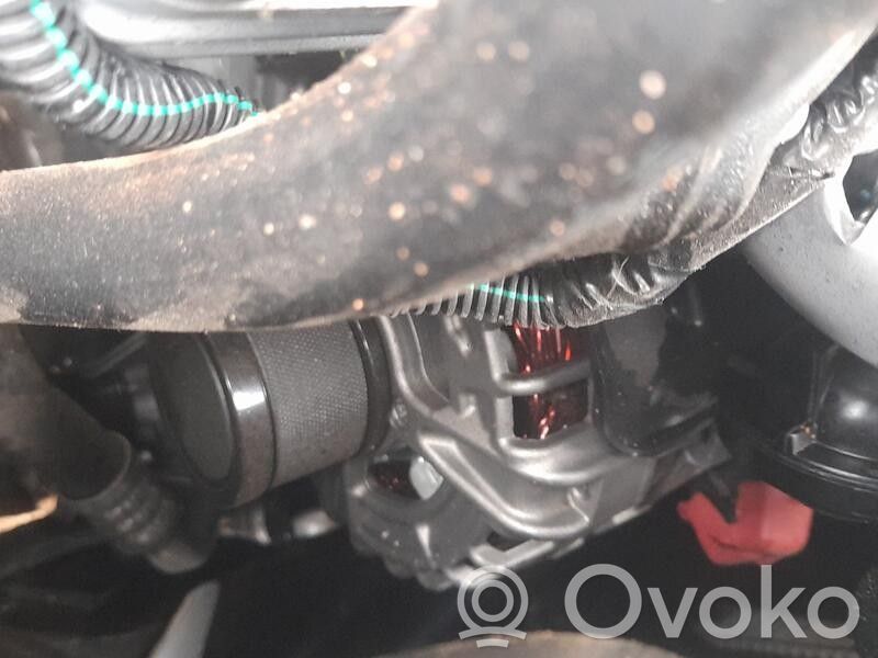 Alternador   231009076R