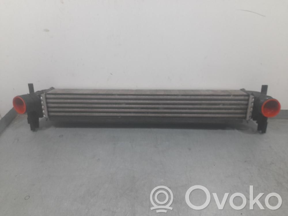 Seat Ibiza IV (6J,6P) Radiator intercooler