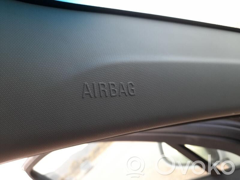 Airbag del techo   39095581