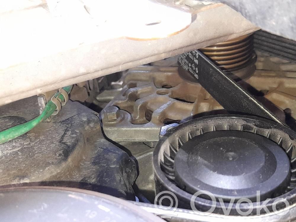 Alternador   231009392R