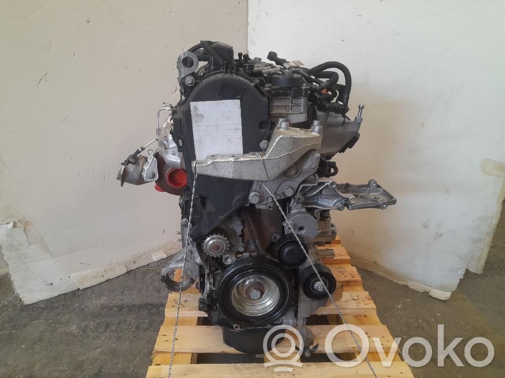 Motore   4H03