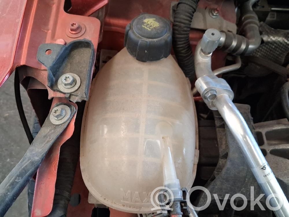 Renault Clio V Serbatoio di compensazione del liquido refrigerante/vaschetta