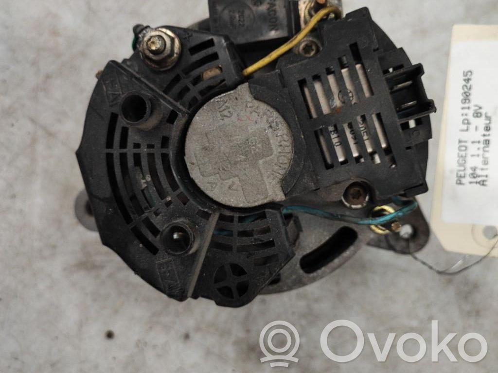 Generatore/alternatore