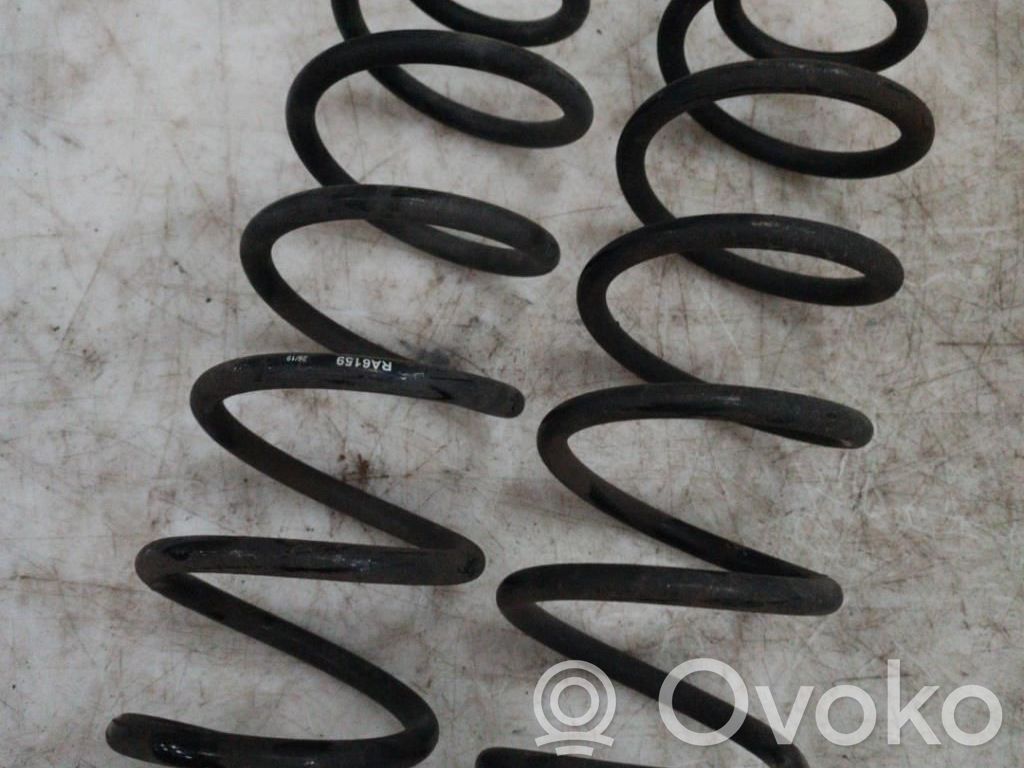 Rear coil spring