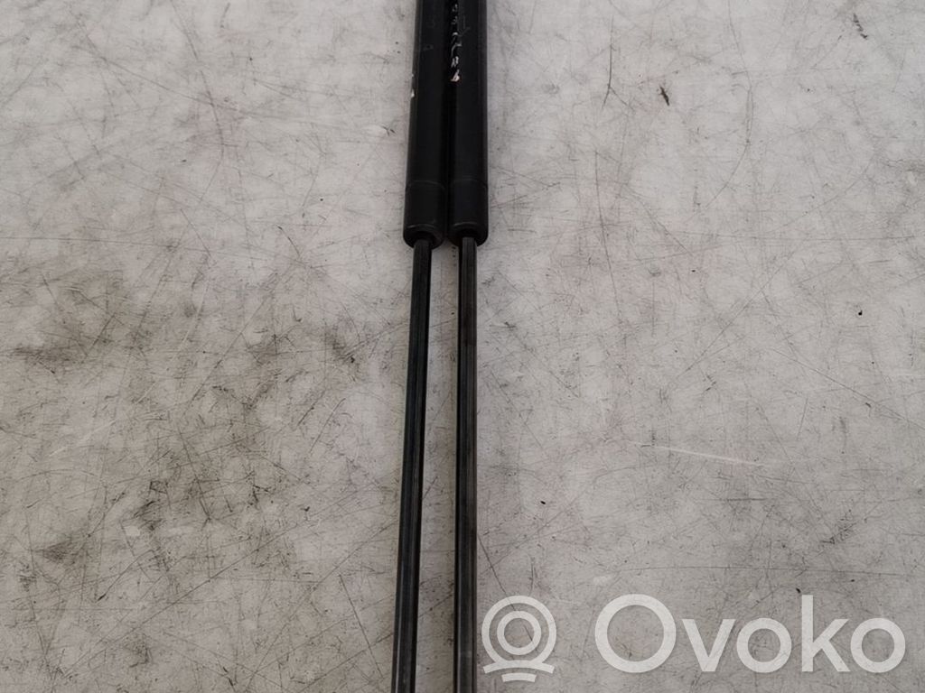 Ford Focus Tailgate/trunk strut/damper 